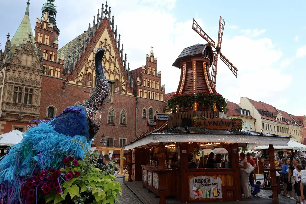 Wrocław Christmas market